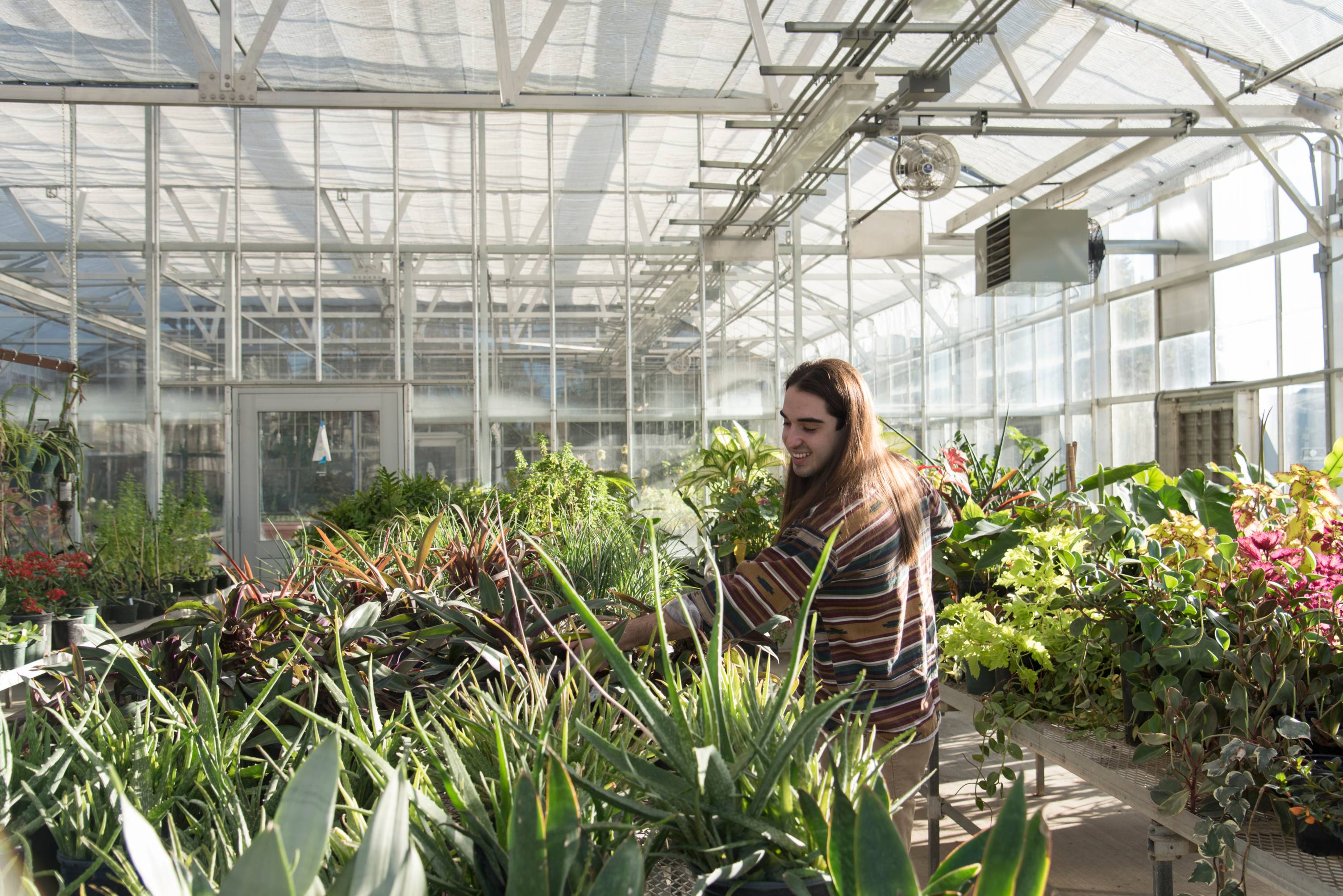 student in large greenhouse watering plants