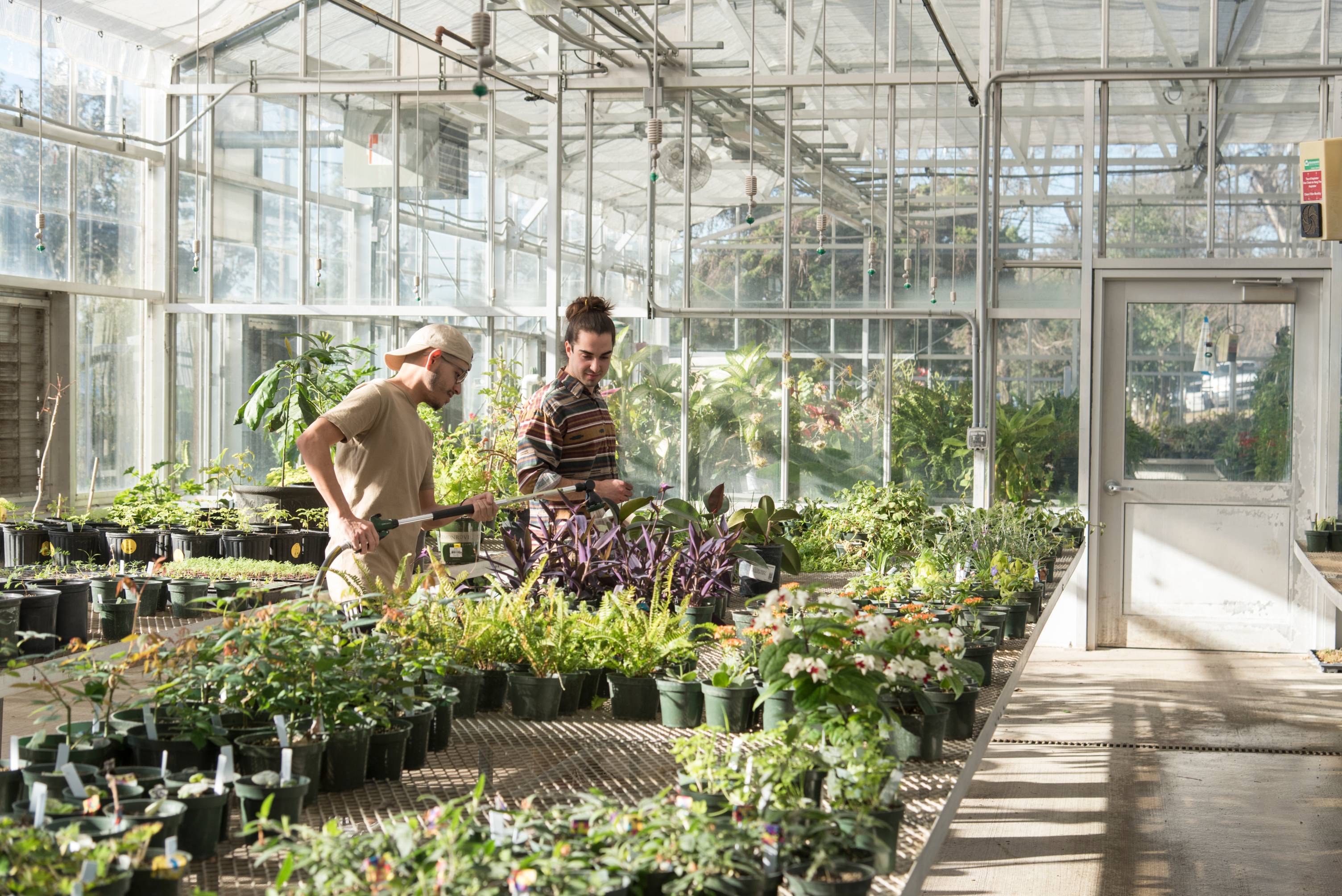 Two students watering in greenhouse
