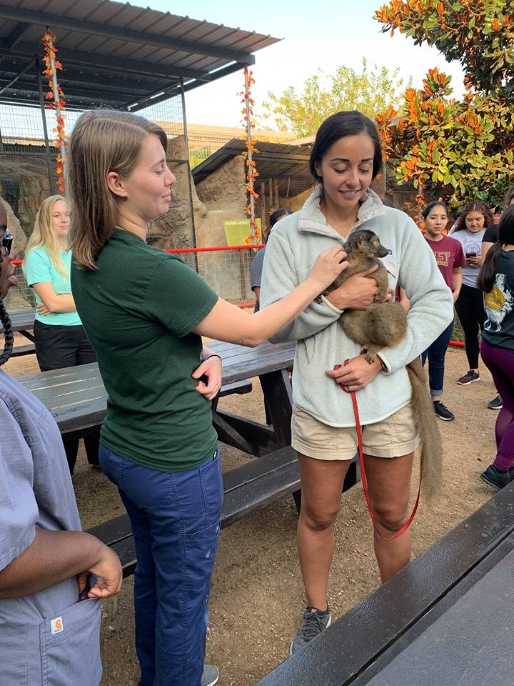 two students handling a small mammal