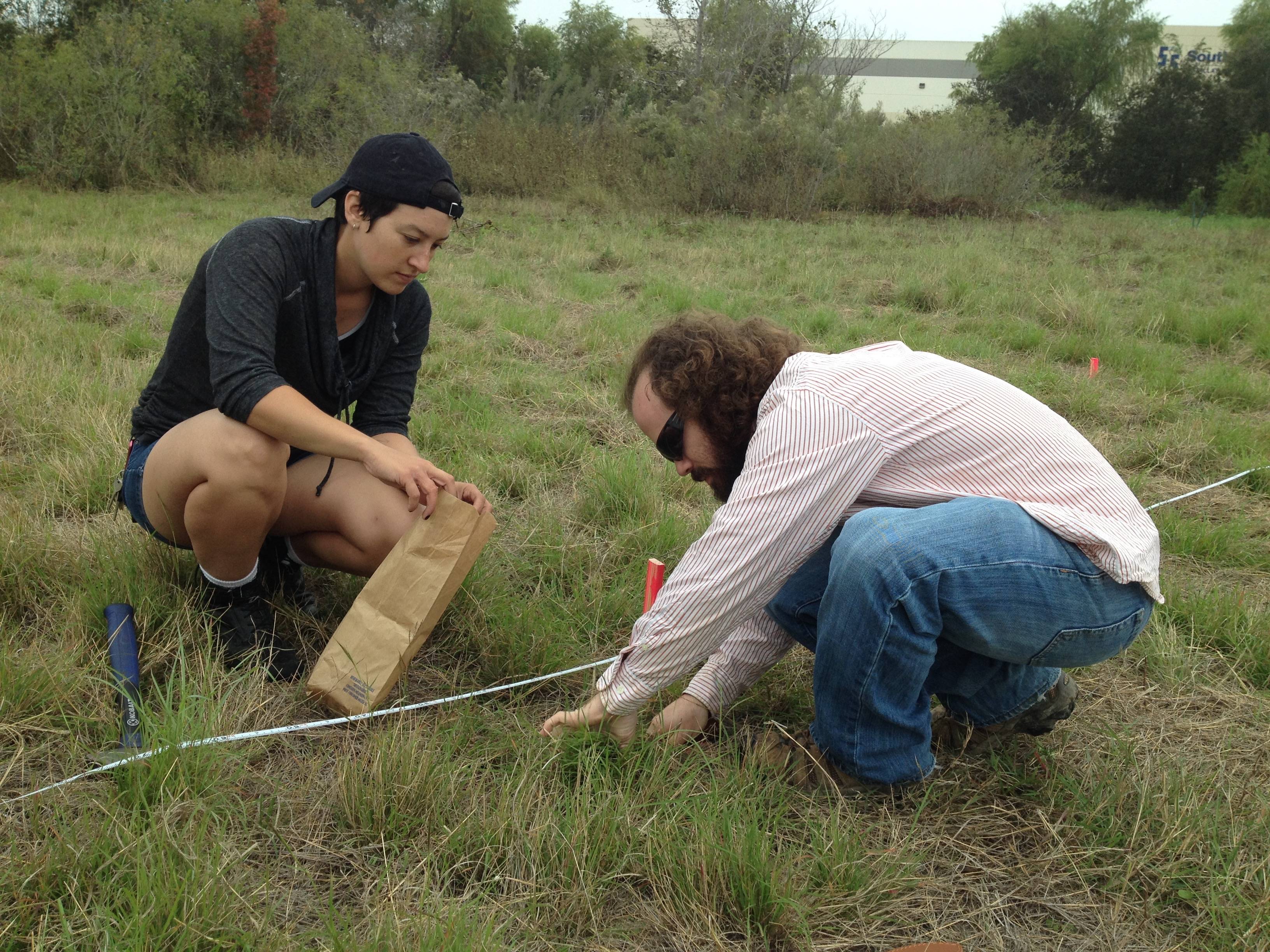 students in a field looking at the ground intently