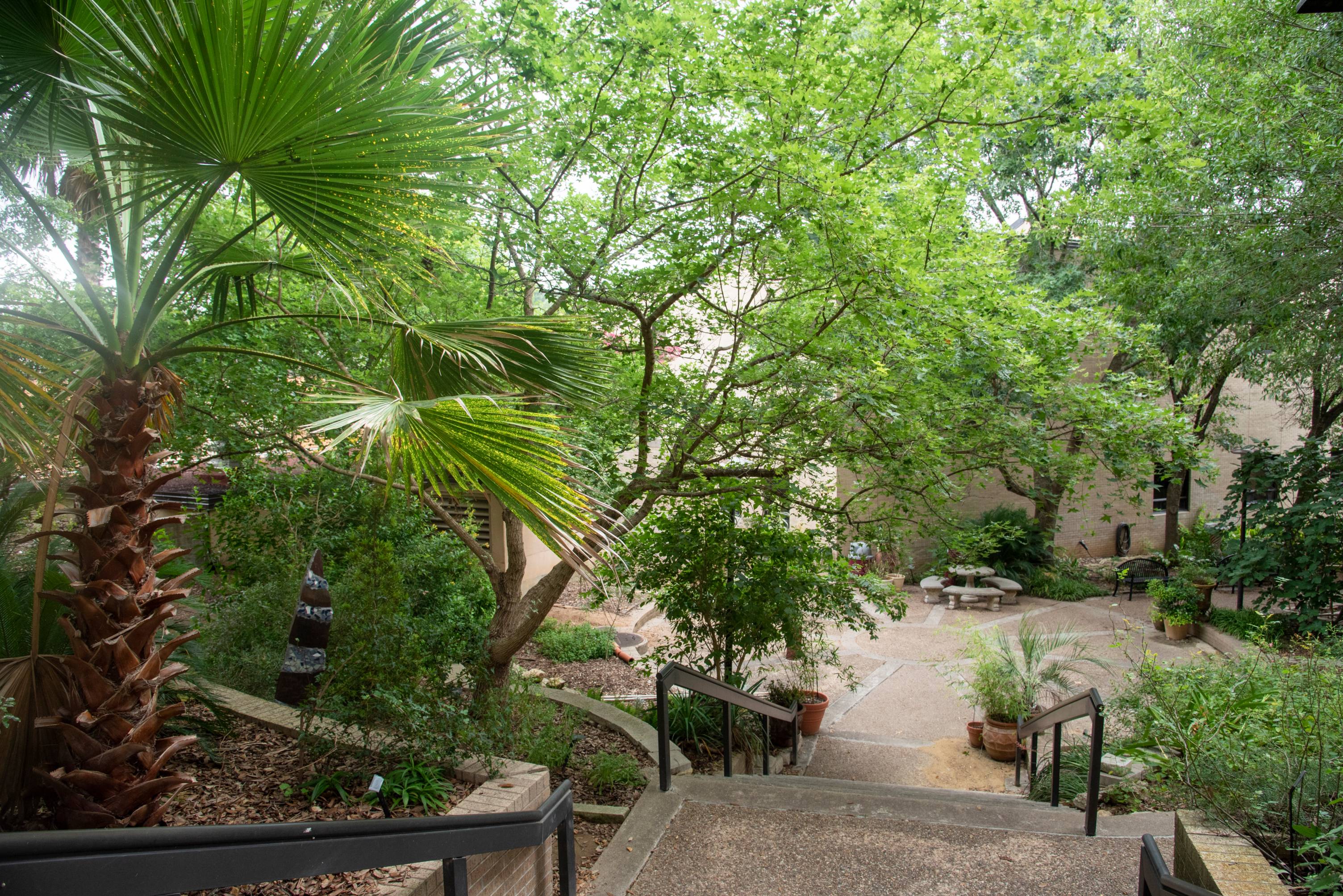 Path winding through garden under trees