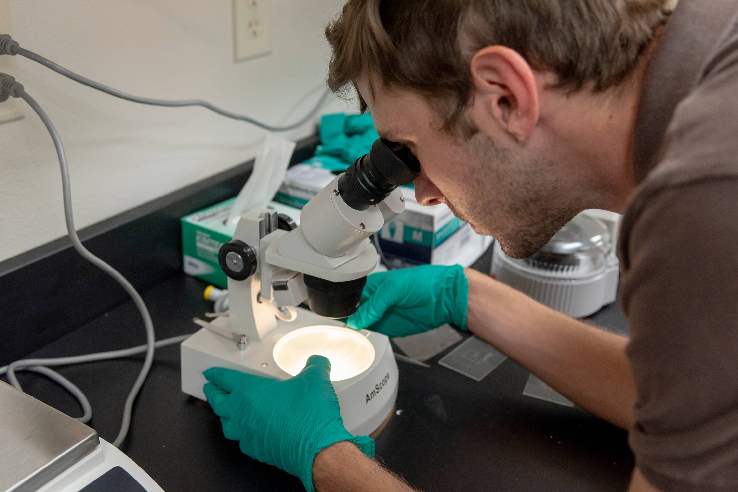student gazes into lit microscope