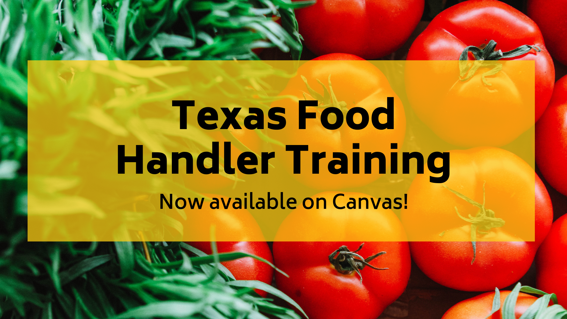 Texas Food Handler Training available on Canvas
