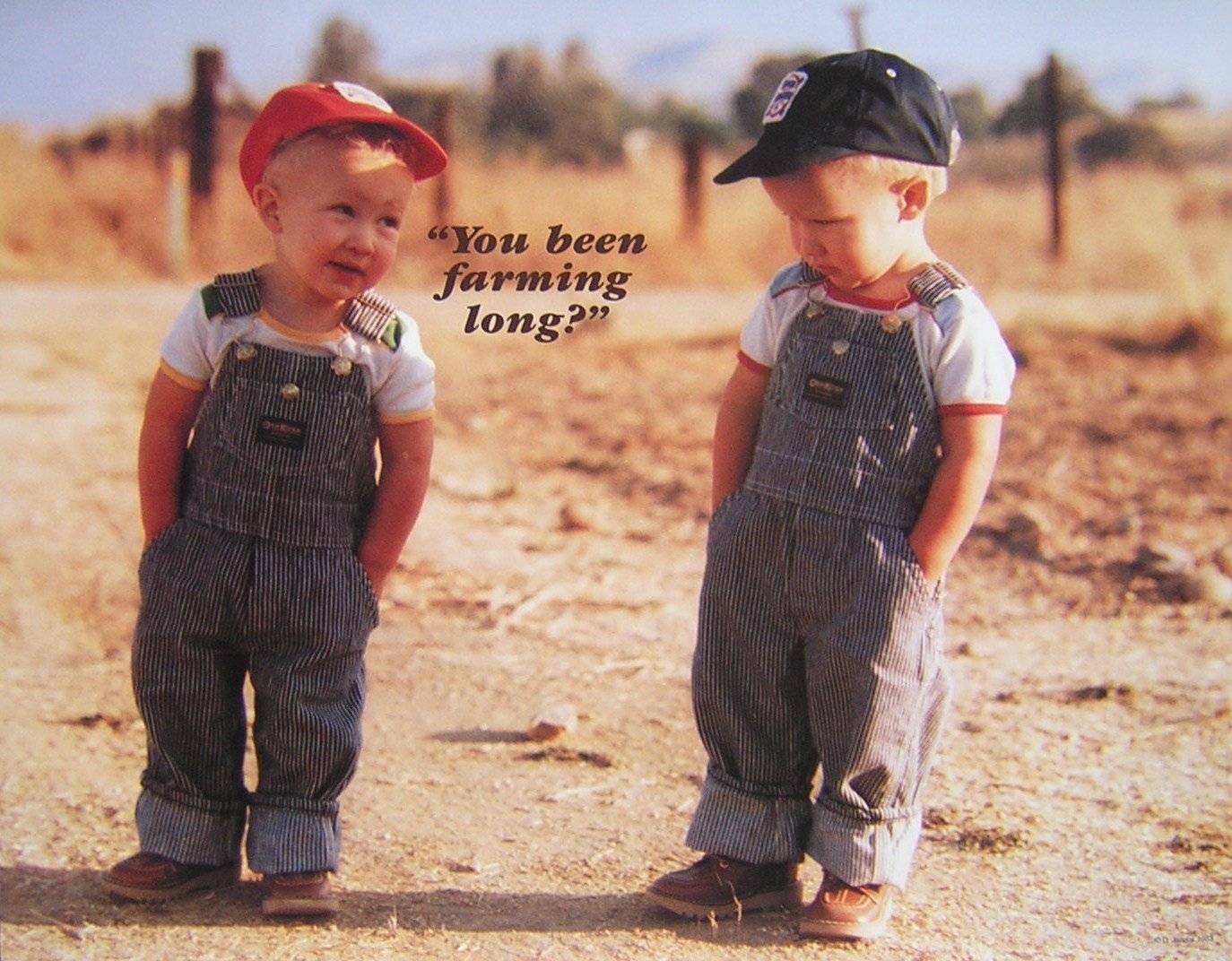Two young boys in overalls, one asking "You been farming long?"