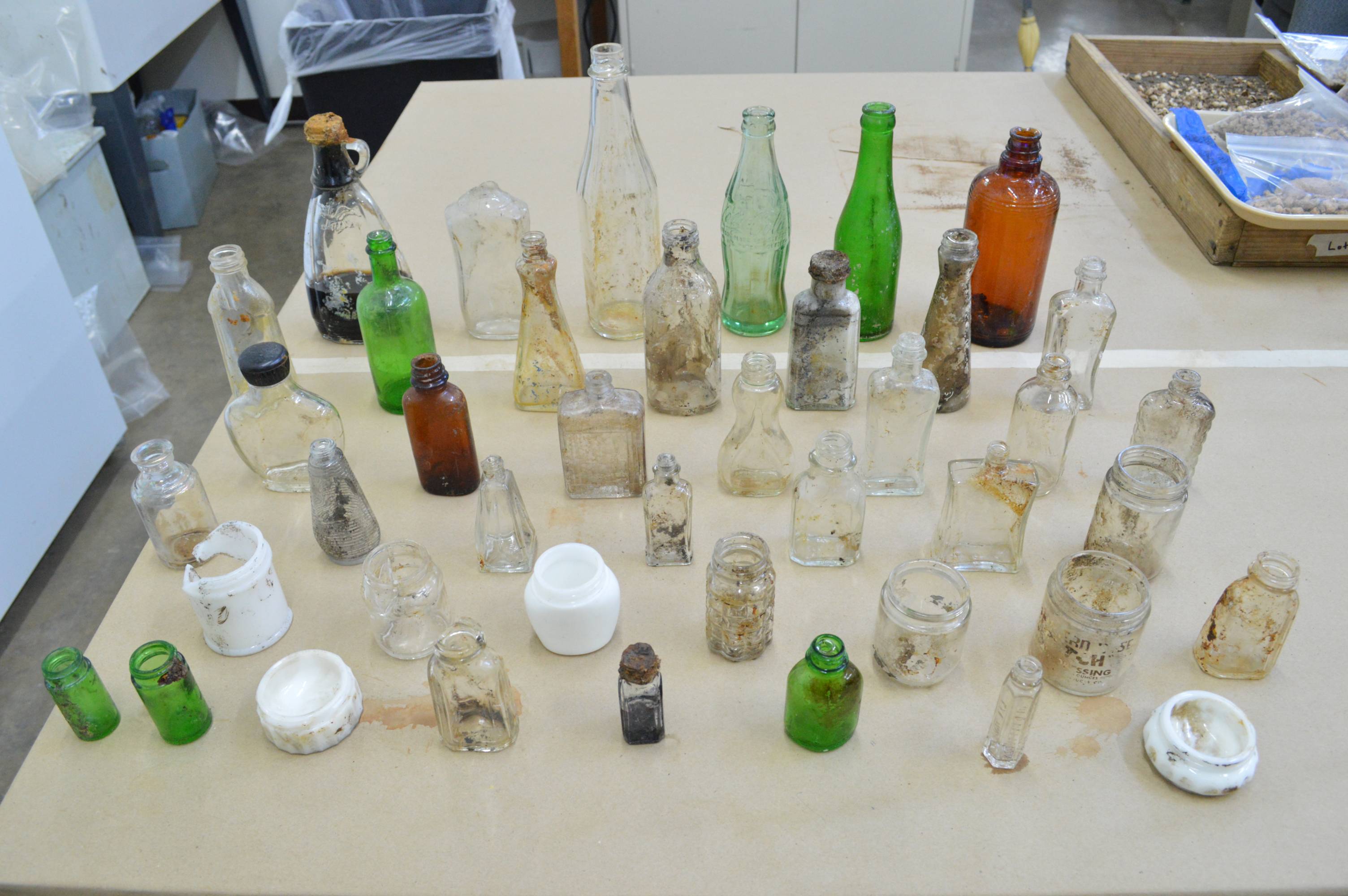 bottles recovered from an historic midden site