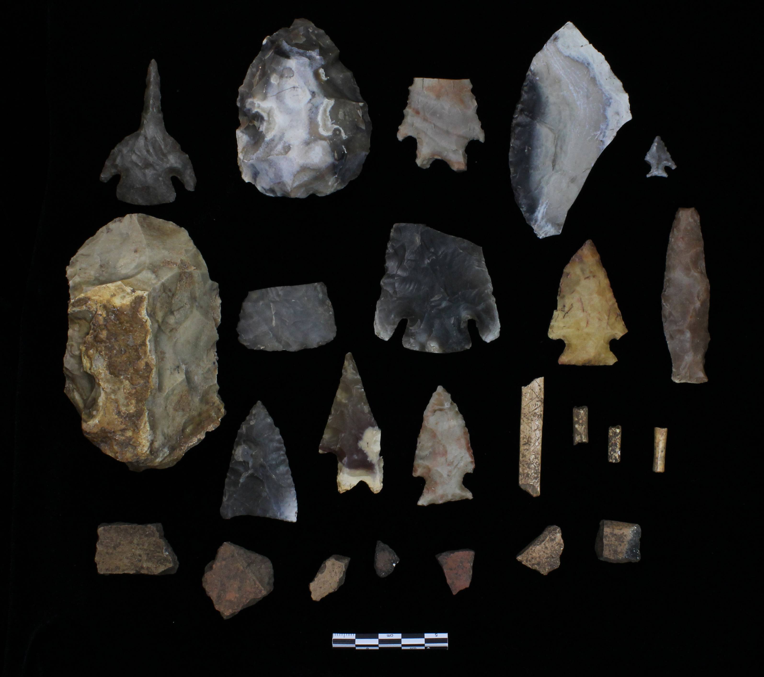 artifacts recovered by SLDR