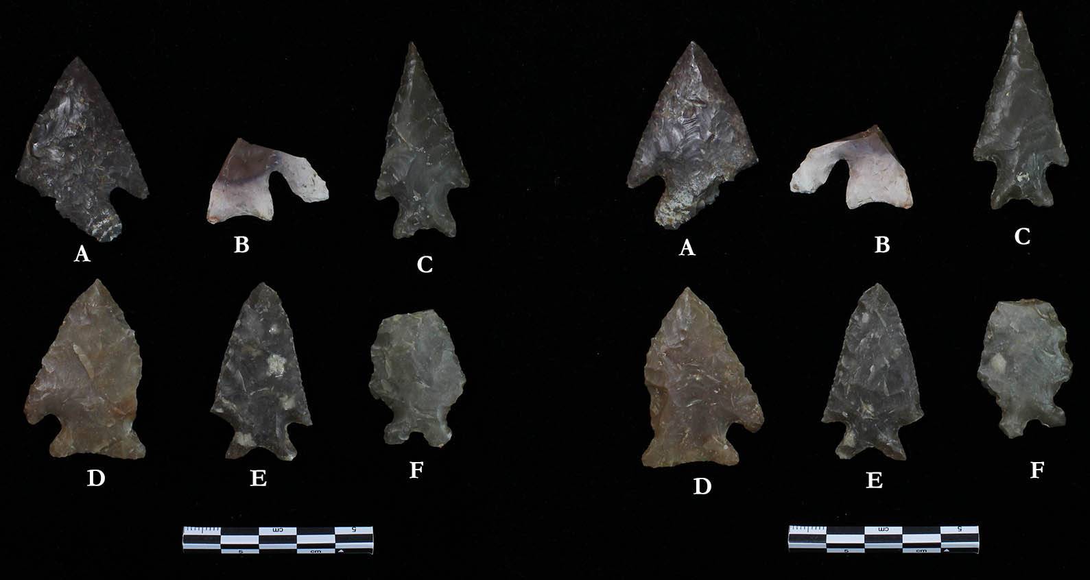 Image of various Early Archaic dart points