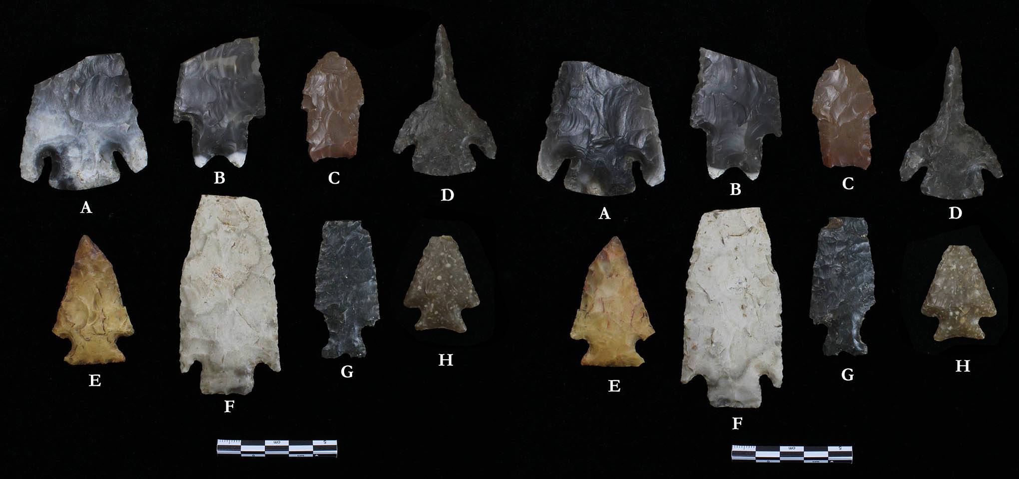 Image of various Late Archaic dart points