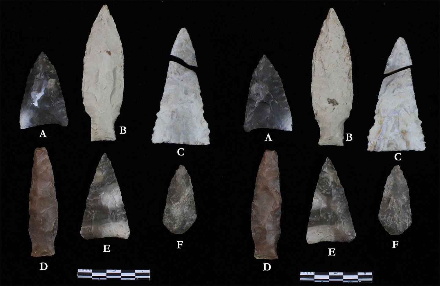 Image of varous Middle Archaic dart points