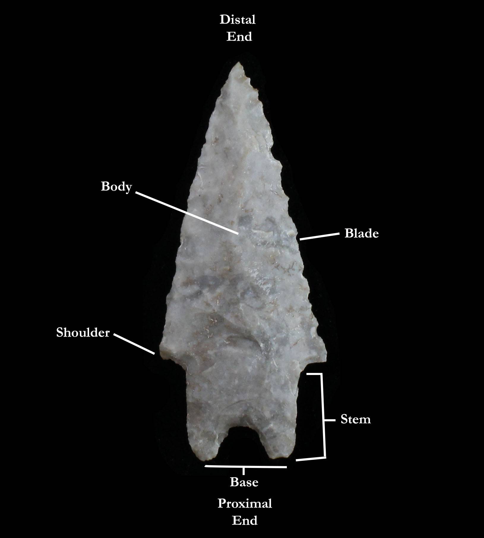 image showing the attributes of a projectile point