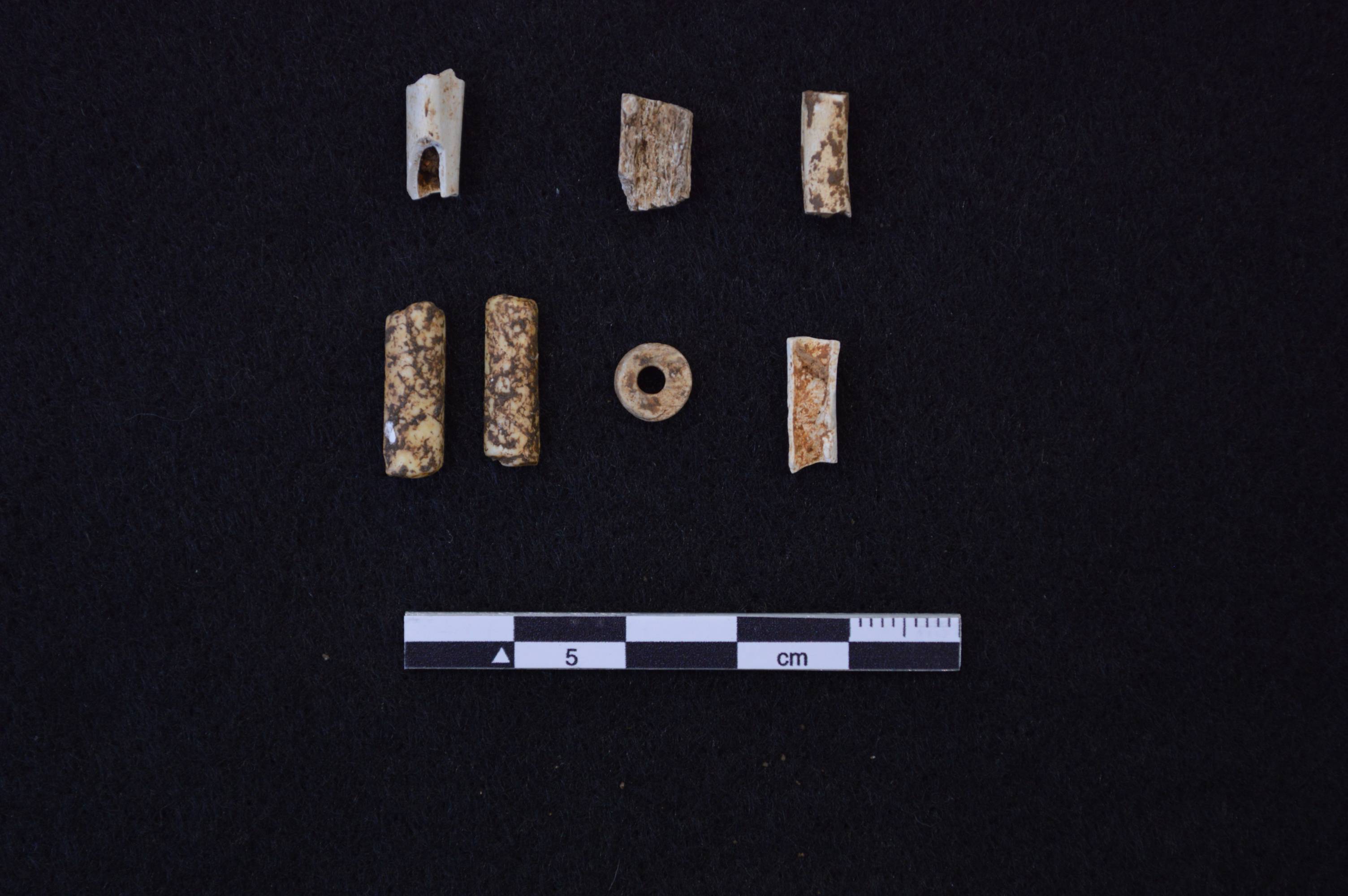 Image of Beads recovered during Spring Lake Data Recovery, 2014