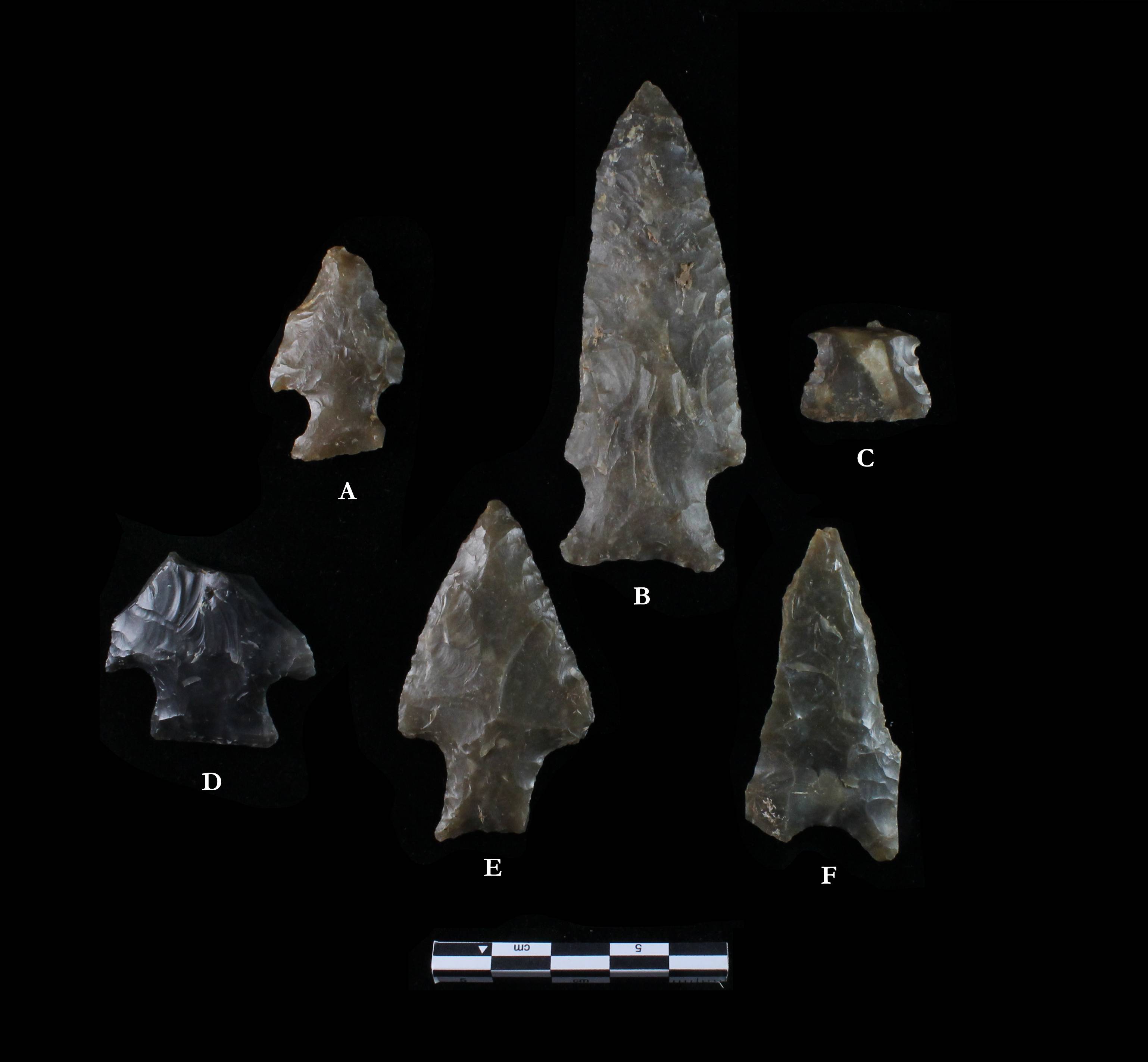 Five Wilson and one dalton paleoindian points