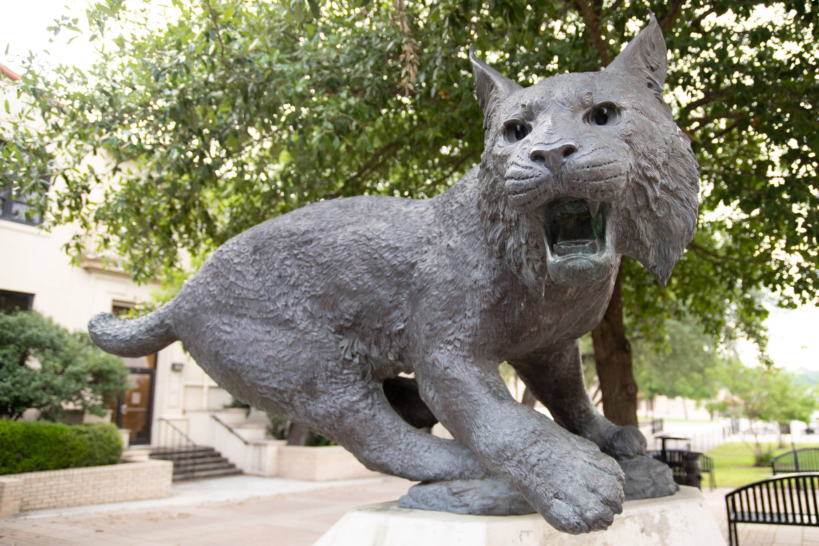 Bobcat Statue