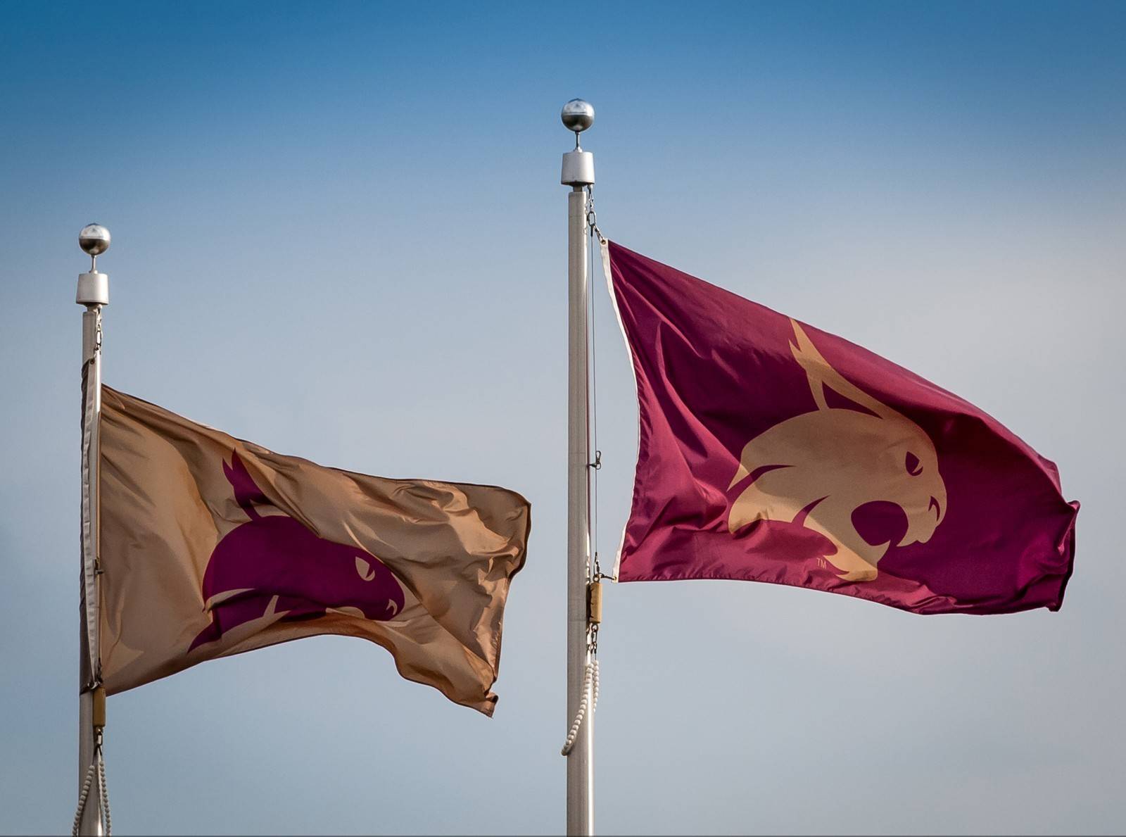 Zoom Background Video: TXST Flags