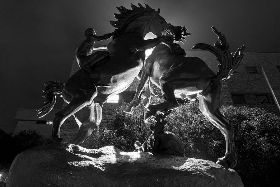 Horse statues by night