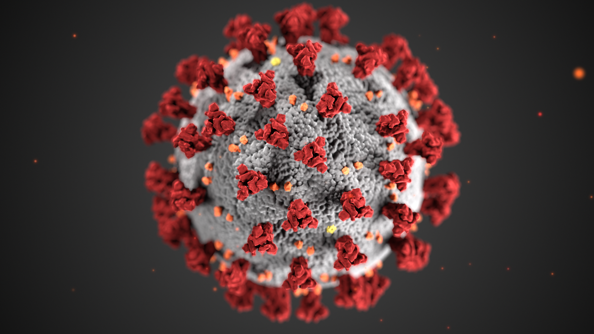 CDC illustration of coronavirus.