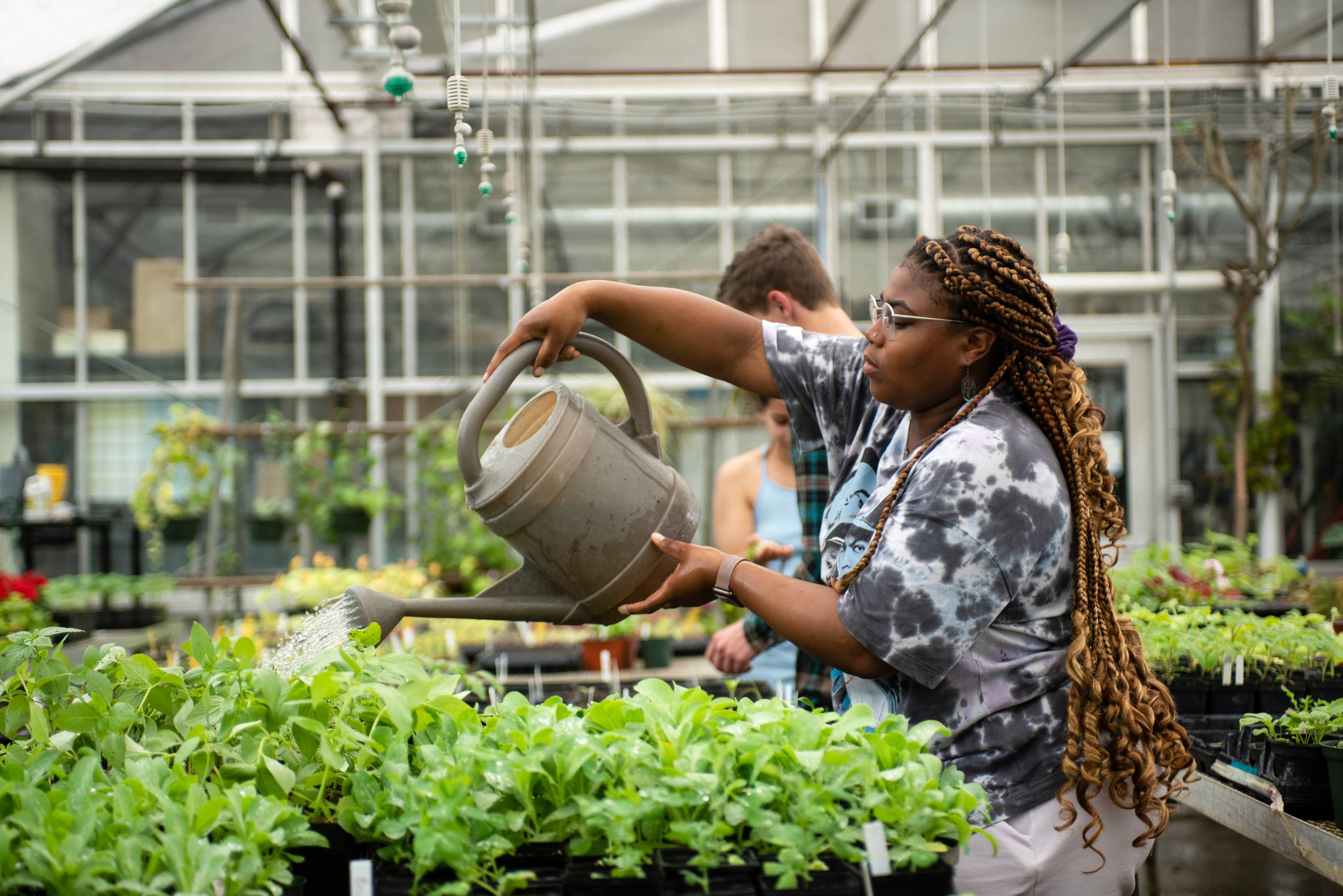 Student watering plants inside the greenhouse