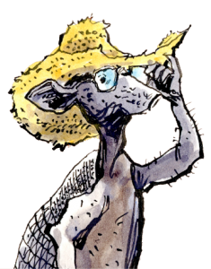 illustration of cartoon armadillo with glasses and straw hat