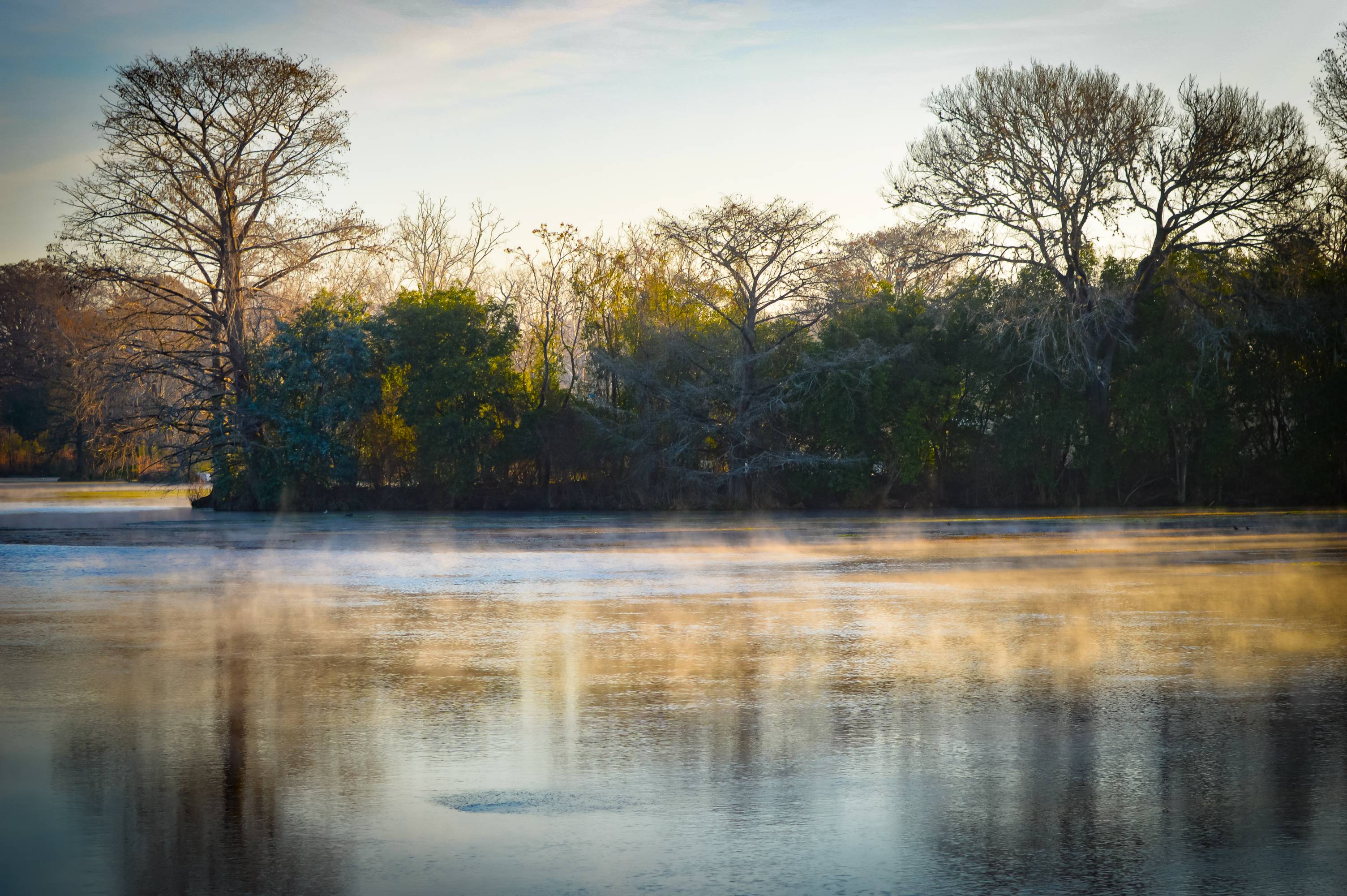 photo of Spring Lake on a misty morning