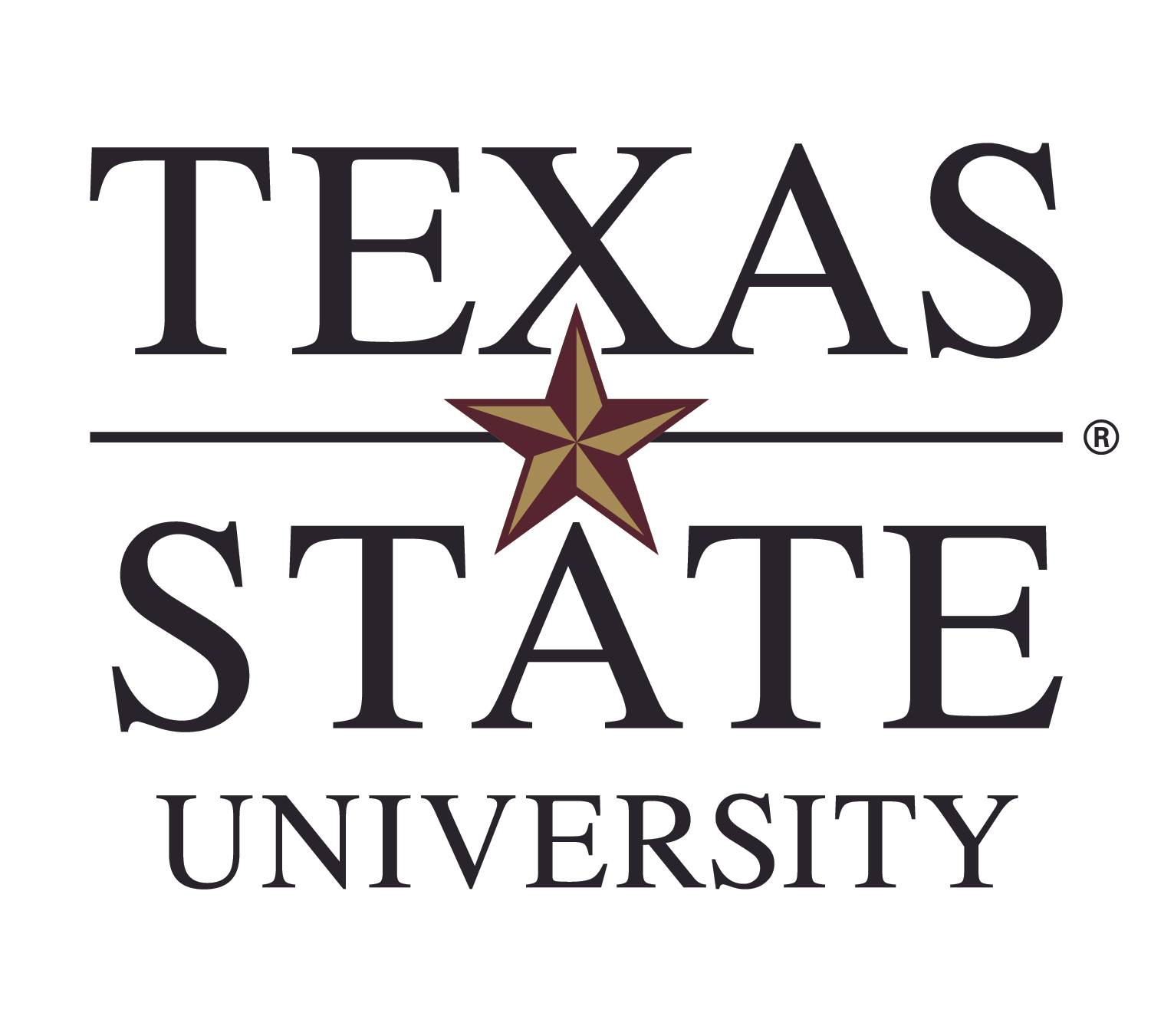 Texas State official logo