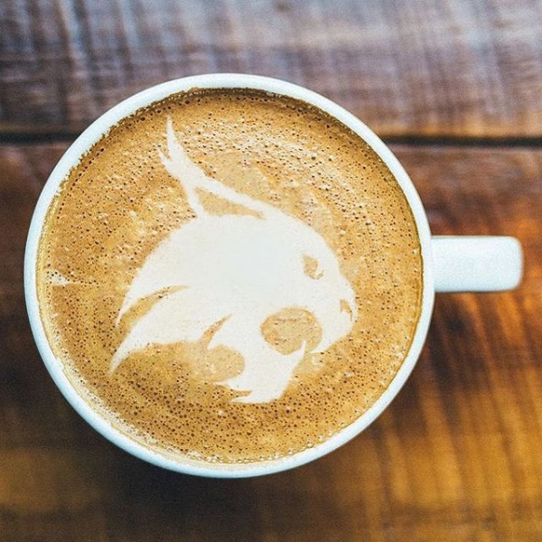 Bobcat Coffee Art and cup 