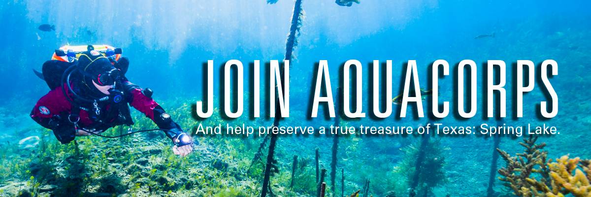 Join Aquacorps