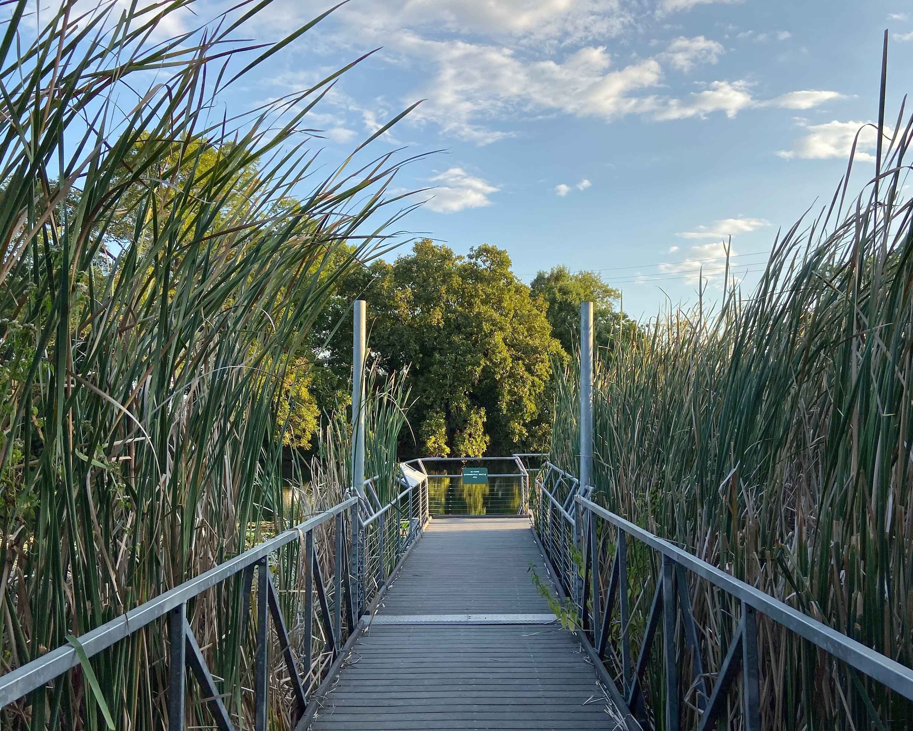 wetlands boardwalk at spring lake