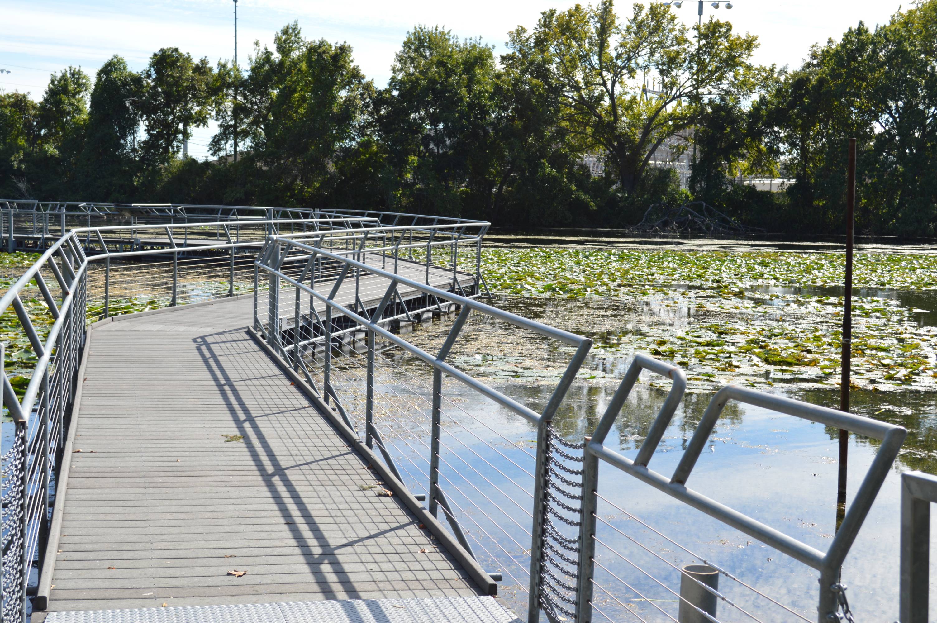 Boardwalk above the Spring Lake Wetlands.