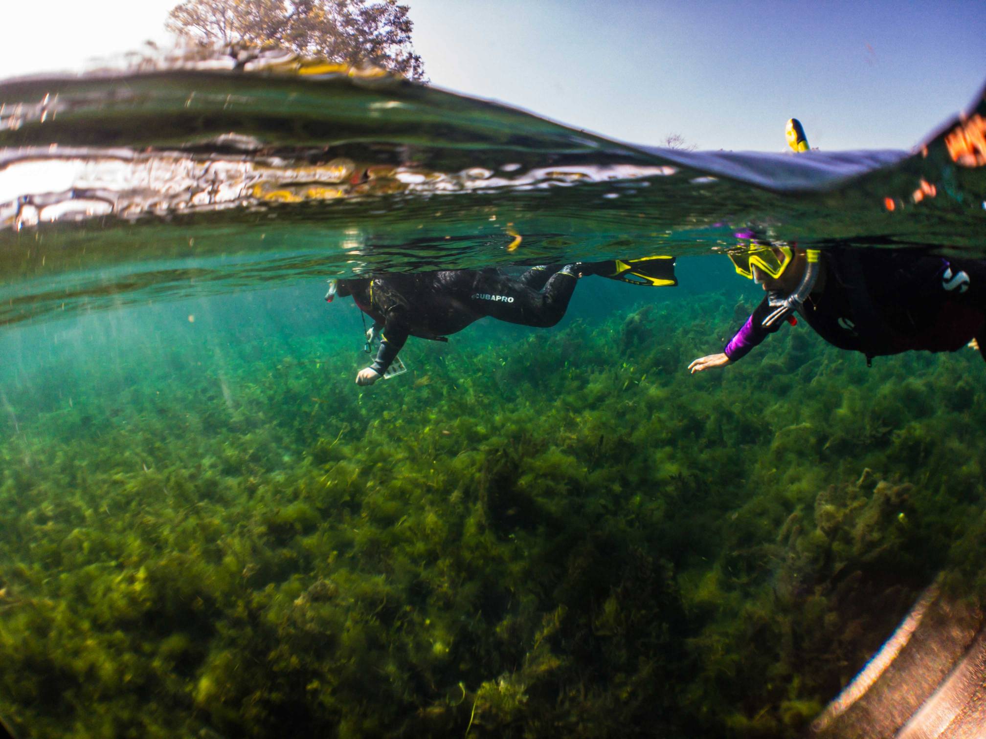 Snorkel Course at Spring Lake