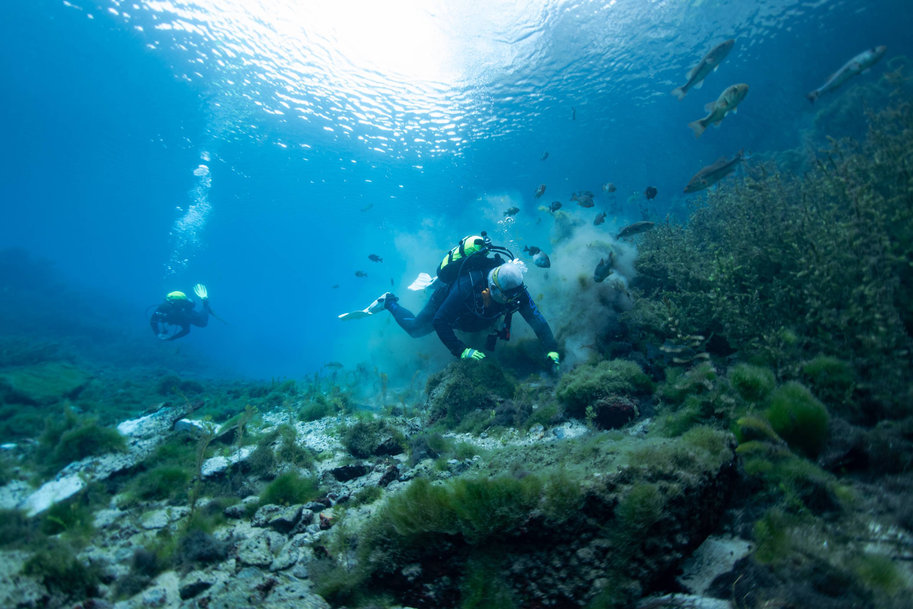Divers underwater in Spring Lake