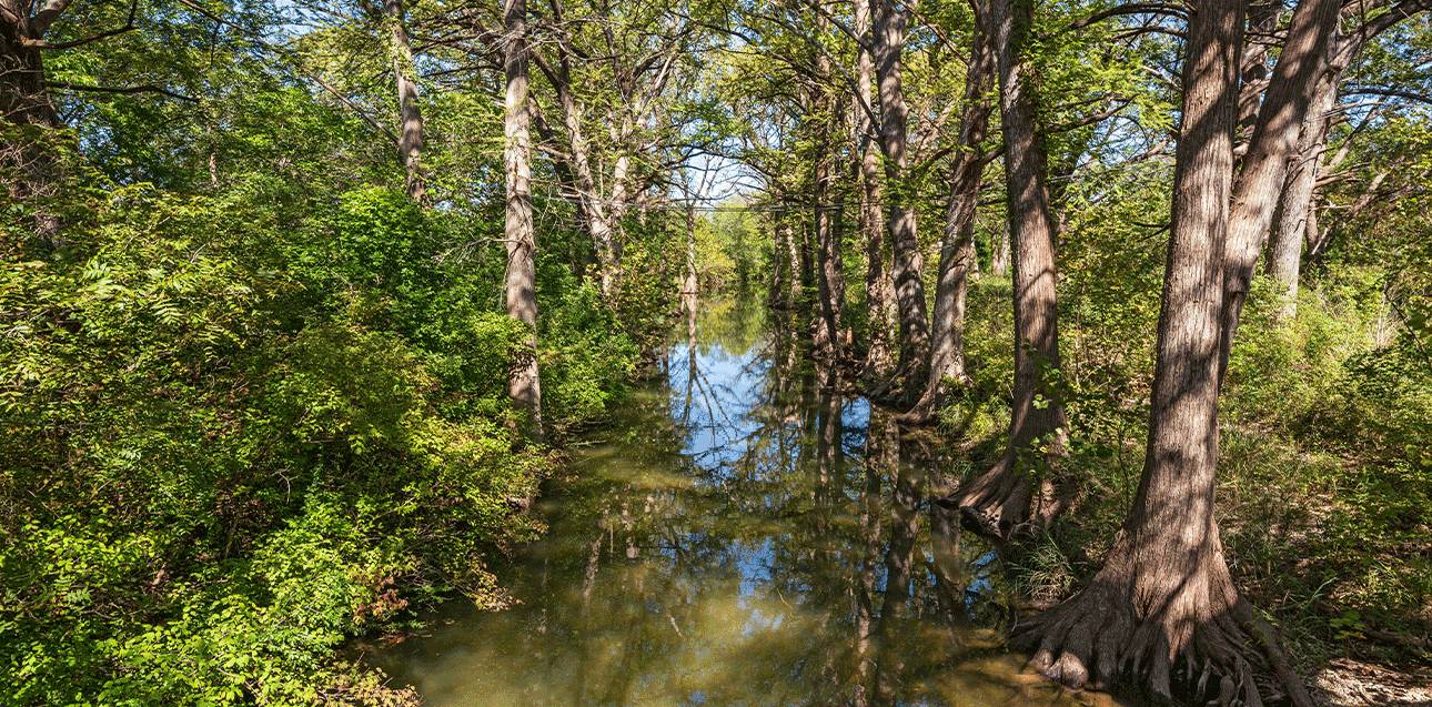 Little Blanco Occurrence of Flowing Water The Meadows Center for