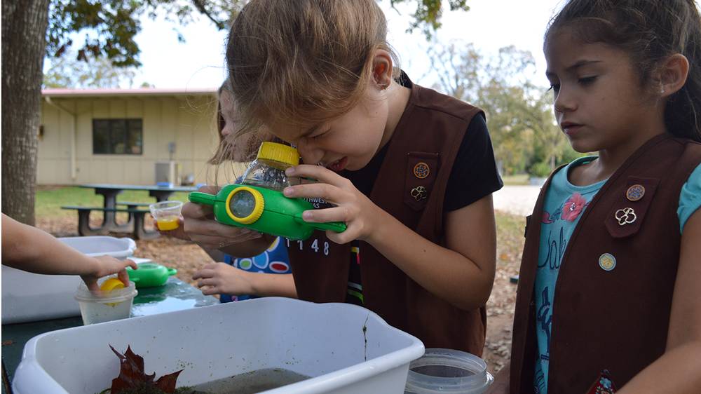 Girl Scouts participating in Bug Activity.