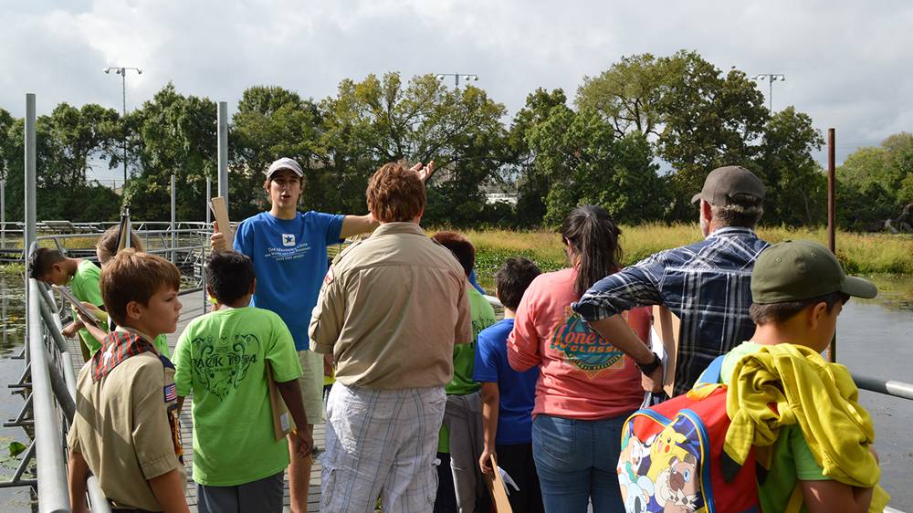 Scouts at the Wetlands.