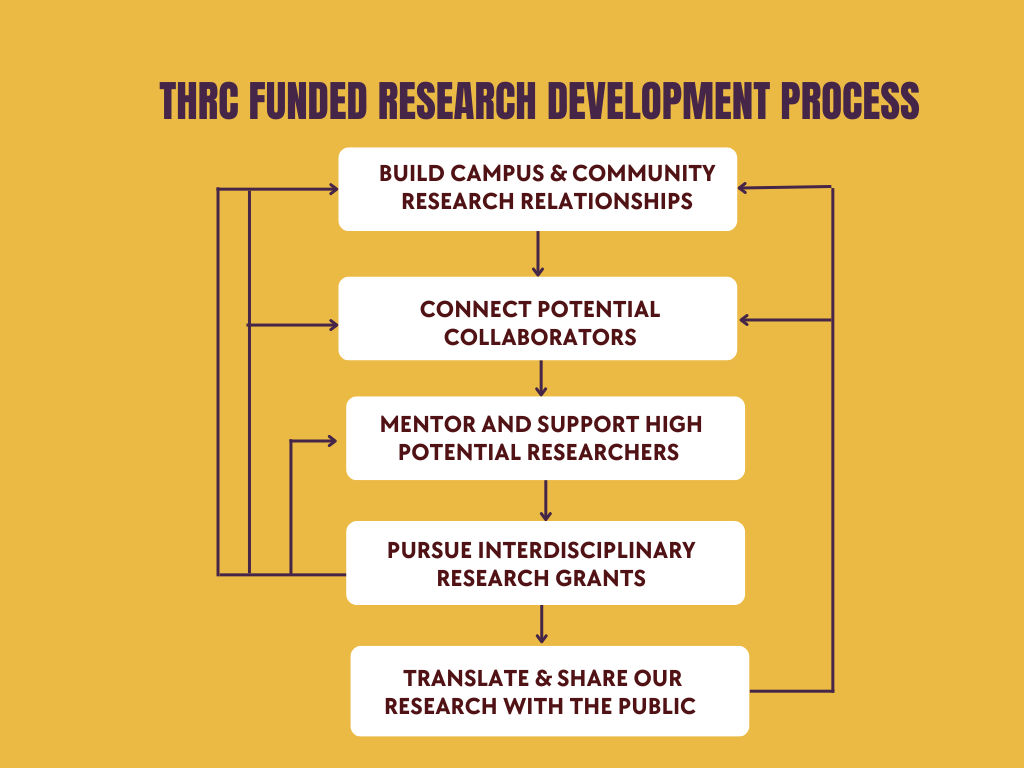 THRC funded research development process. 1) build campus and community research relationships. 2) connect potential collaborators. 3) pursue interdisciplinary research grants. 4) translate & share our research with the public.