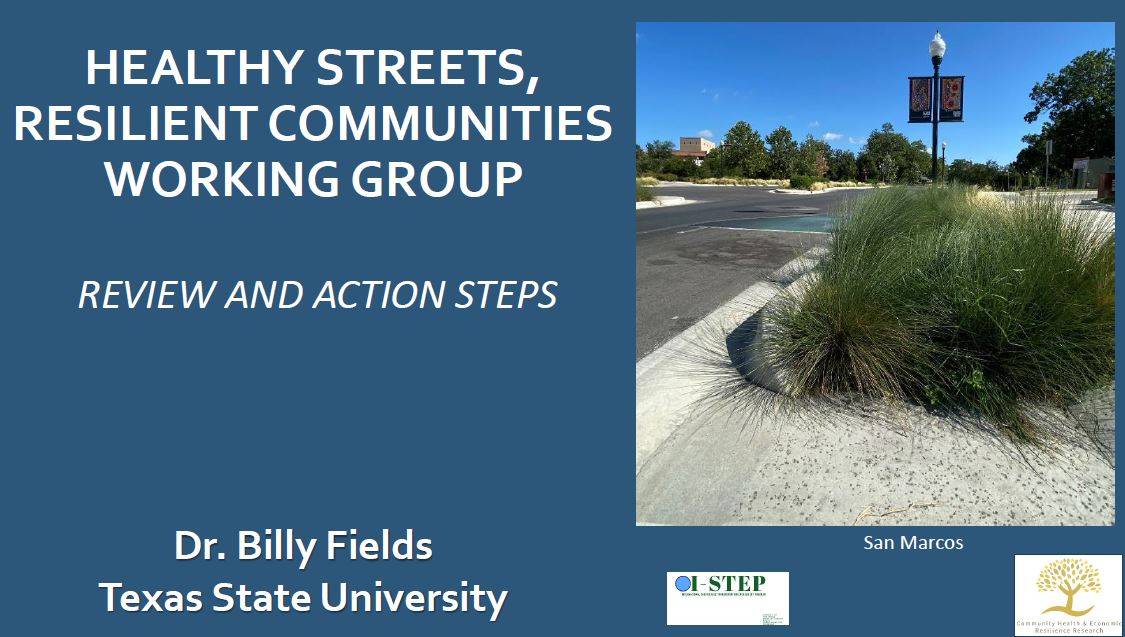 Presentation cover slide with the title: Healthy Streets, Resilient Communities Working Groups - Review and Action Steps