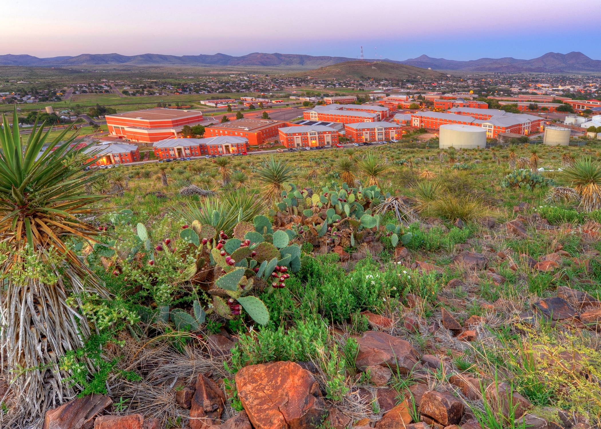 sul ross state university in alpine, tx