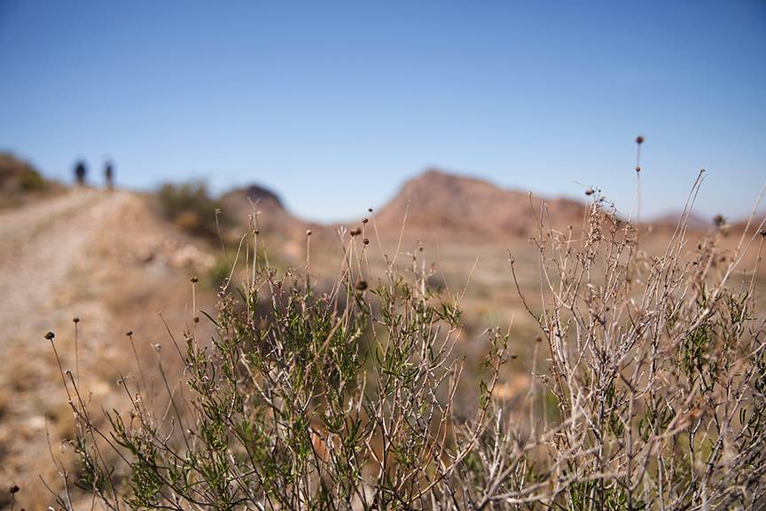 Sign and gate for entrance to Christmas Mountains