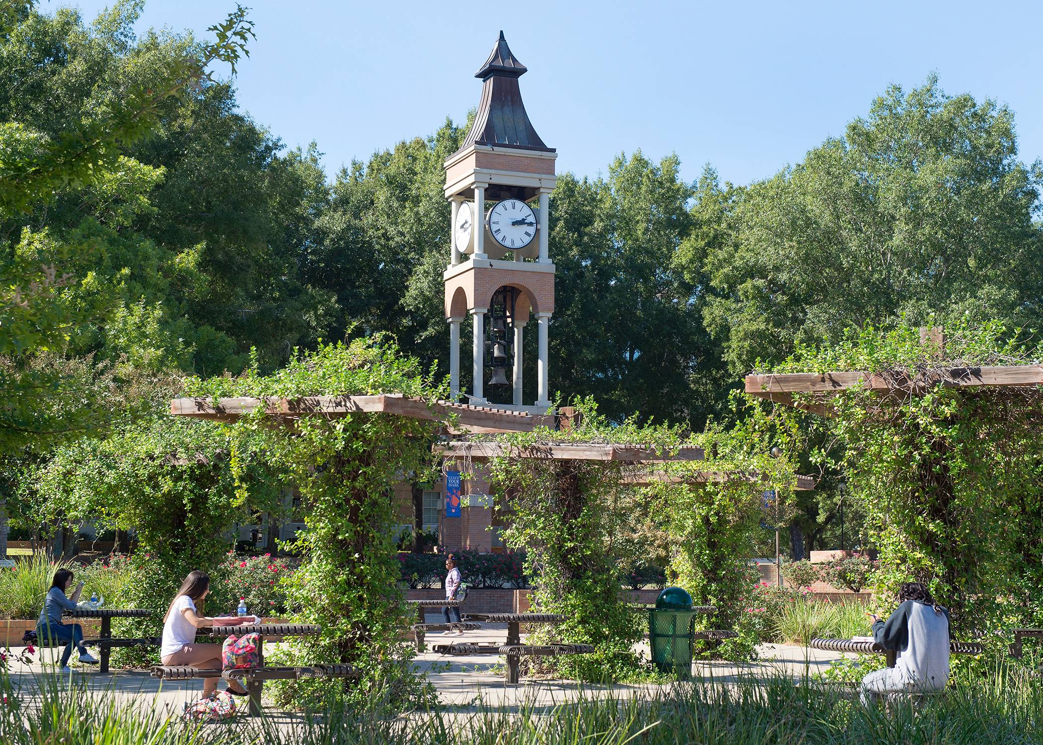 shsu campus photo
