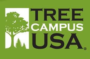 Tree Campus USA