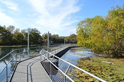 The Meadows Center reopens the guided Wetlands Boardwalk tours.