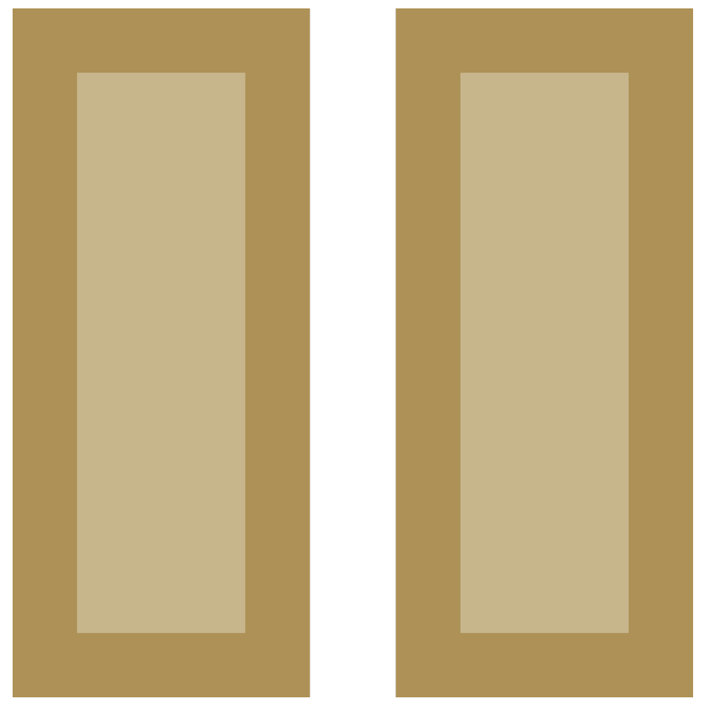 Two gold bars signifies a captain
