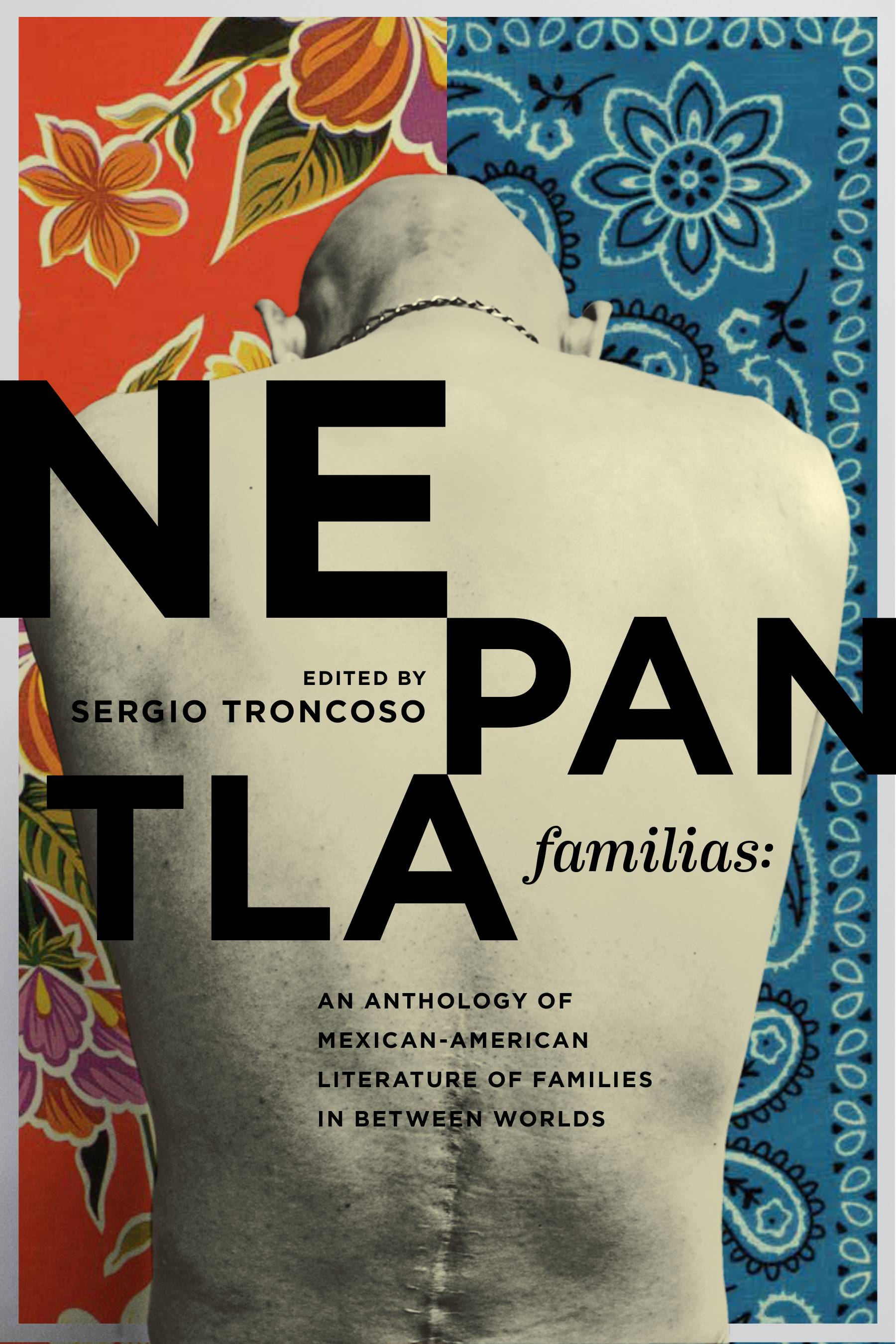Napantla Familias book cover