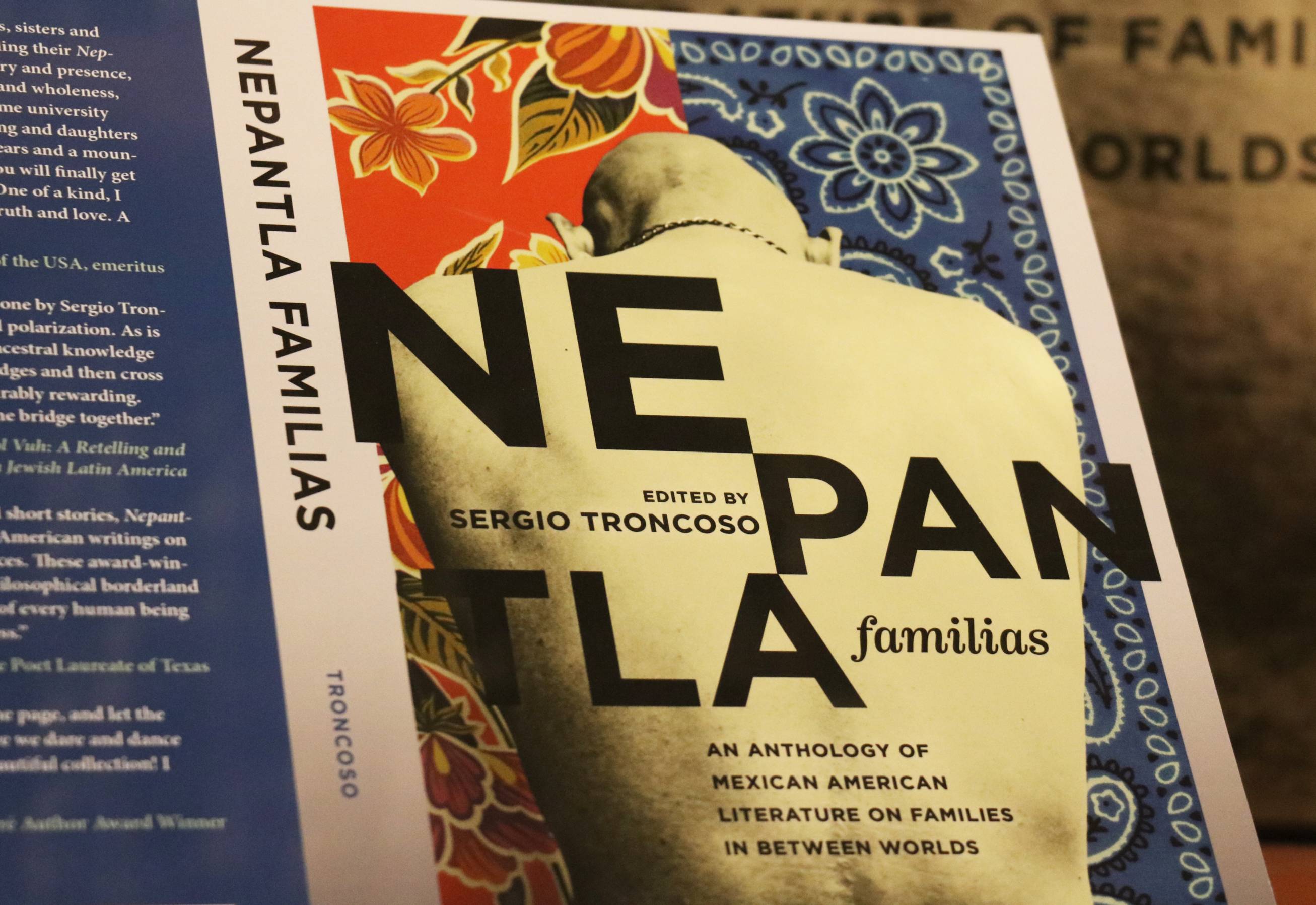 Photo of Nepantla Familias book cover