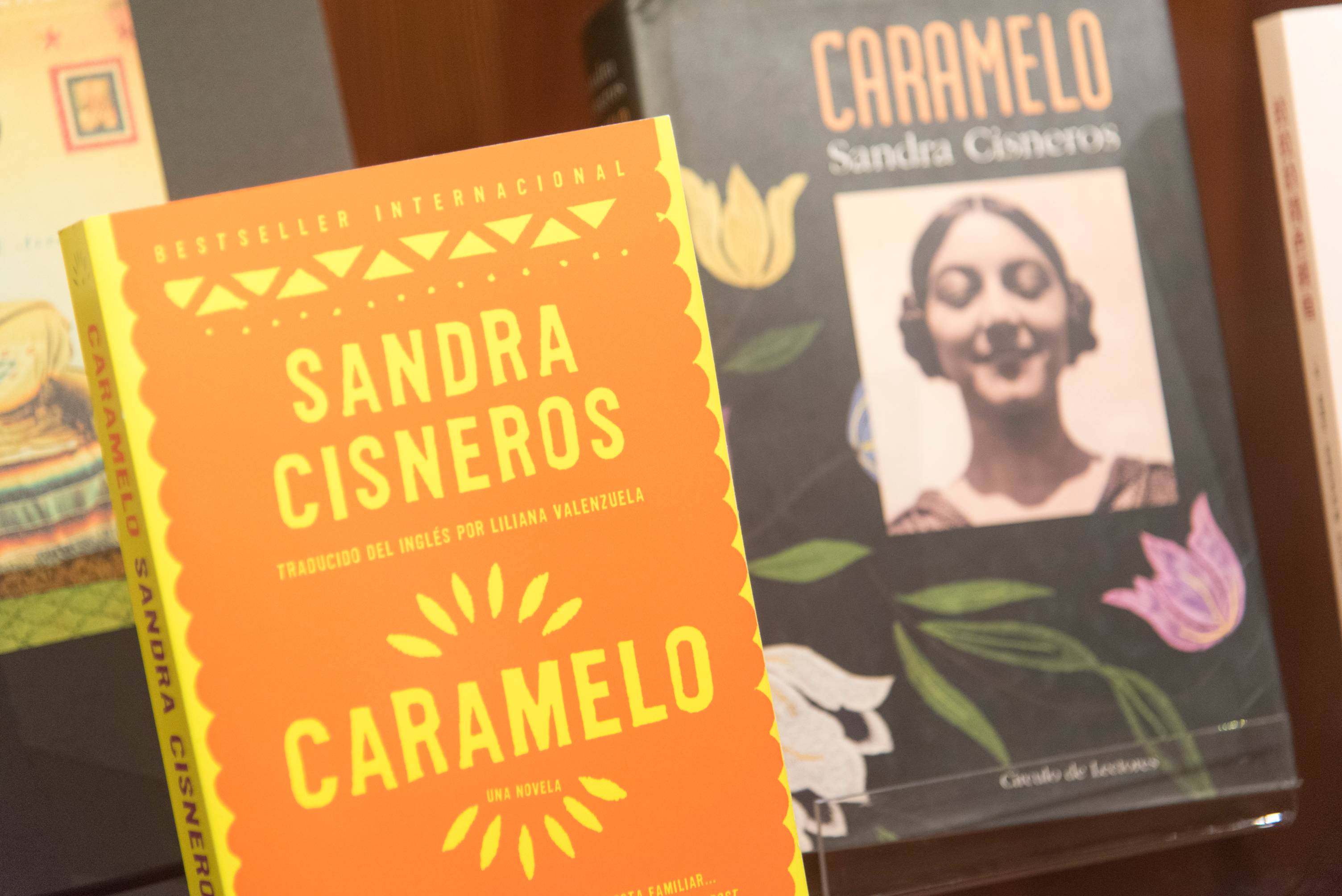 sandra cisneros books