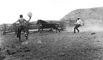 La caballada, Rancho Tule, México, © 1970-72 by Bill Wittliff