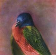 Photograph: Painted Bunting by Kate Breakey