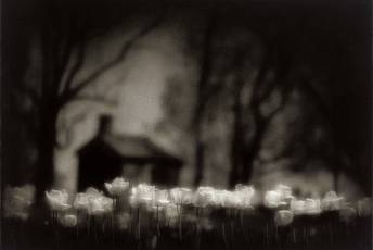 Photograph: Shack and Tulips, © Rocky Schenck