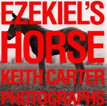 Ezekiel's Horse cover by Keith Carter