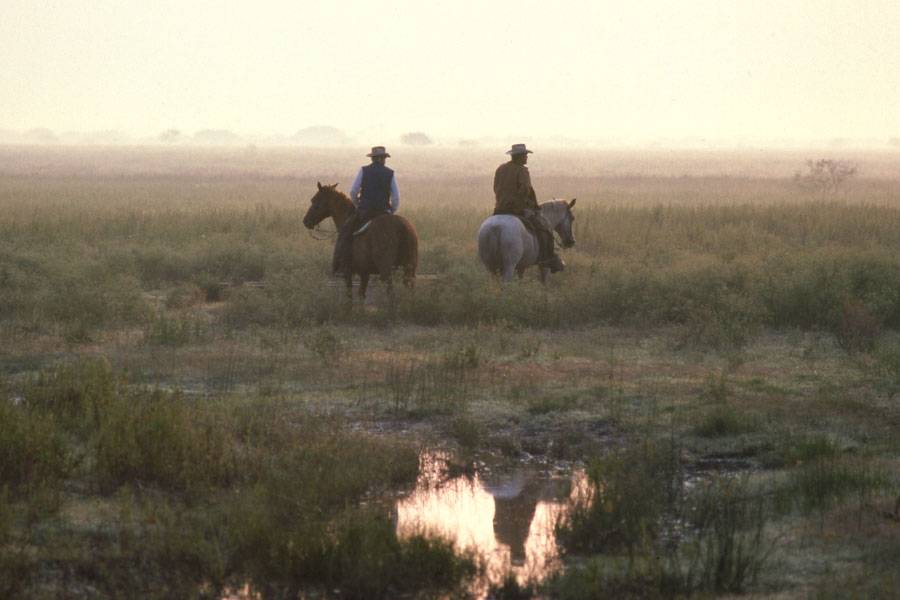 Photo of cowboys on horseback