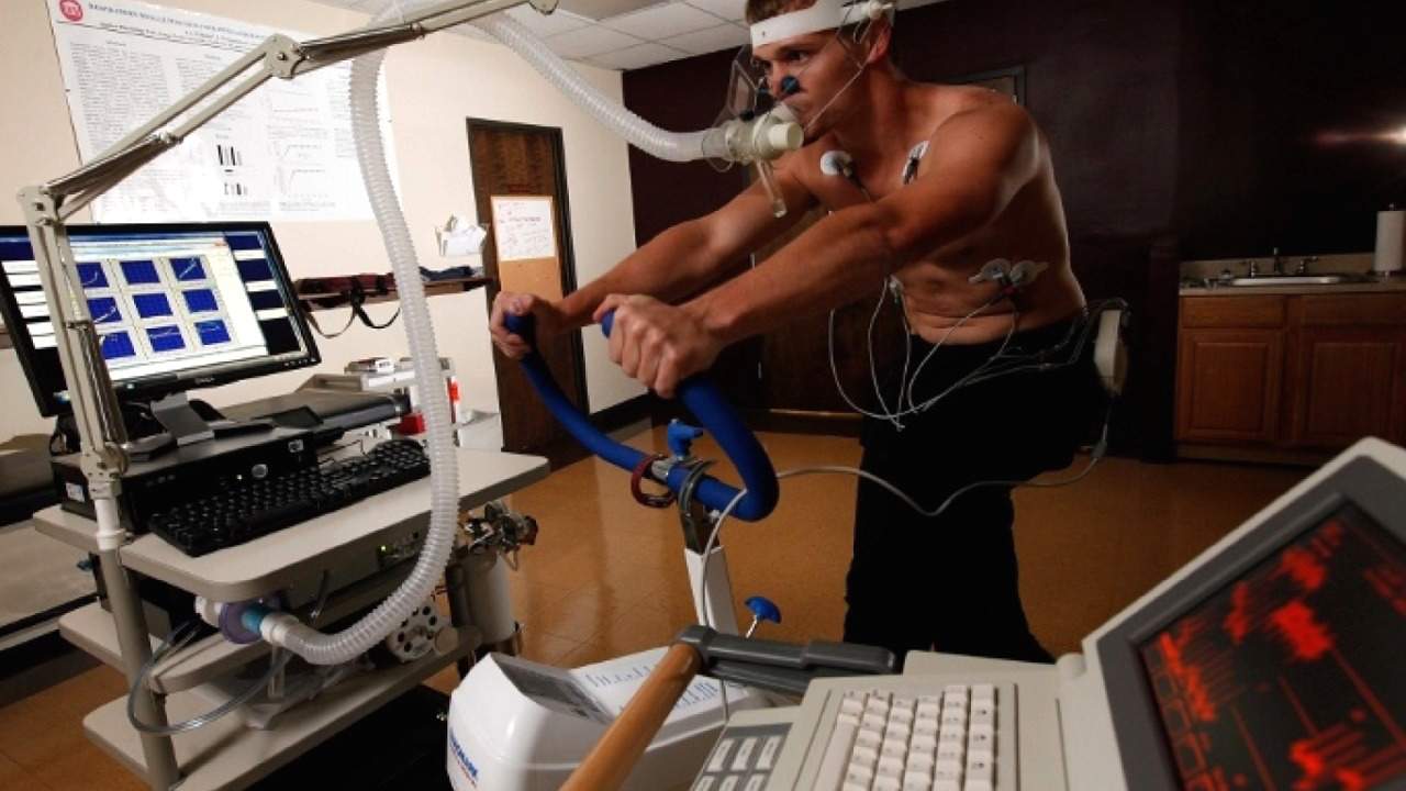 Students work in lab